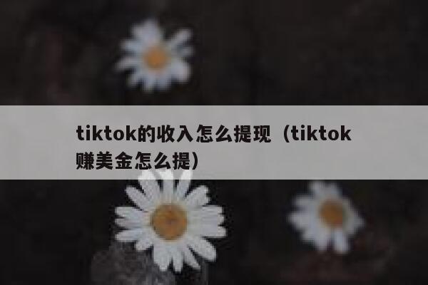 tiktok的收入怎么提现（tiktok赚美金怎么提） 第1张
