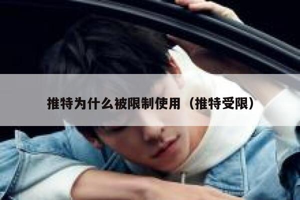 推特为什么被限制使用（推特受限） 第1张
