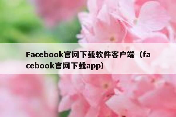 Facebook官网下载软件客户端（facebook官网下载app） 第1张
