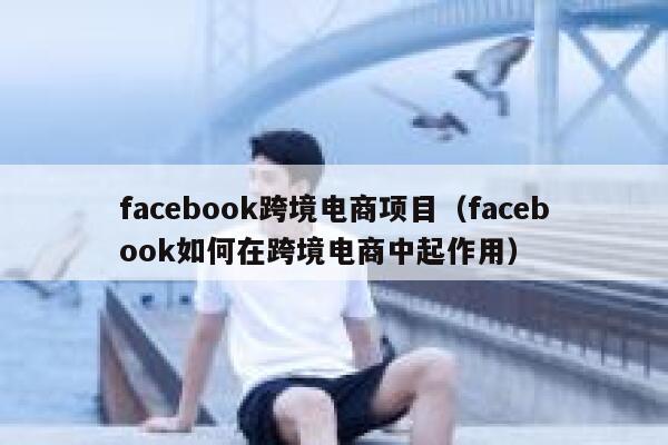 facebook跨境电商项目（facebook如何在跨境电商中起作用） 第1张