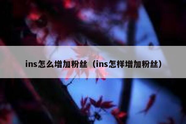 ins怎么增加粉丝(ins怎样增加粉丝) 第1张 ins怎么增加粉丝(ins怎样增加粉丝) 第1张