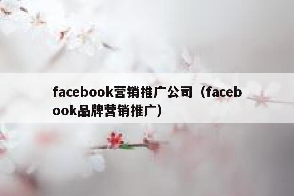 facebook营销推广公司(facebook品牌营销推广) 第1张 facebook营销推广公司(facebook品牌营销推广) 第1张