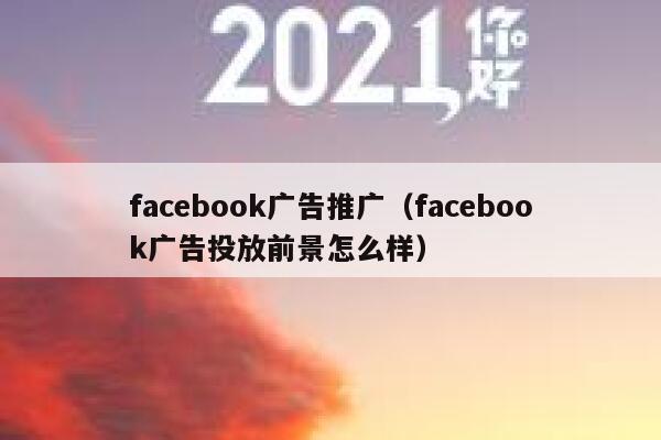 facebook广告推广（facebook广告投放前景怎么样） 第1张