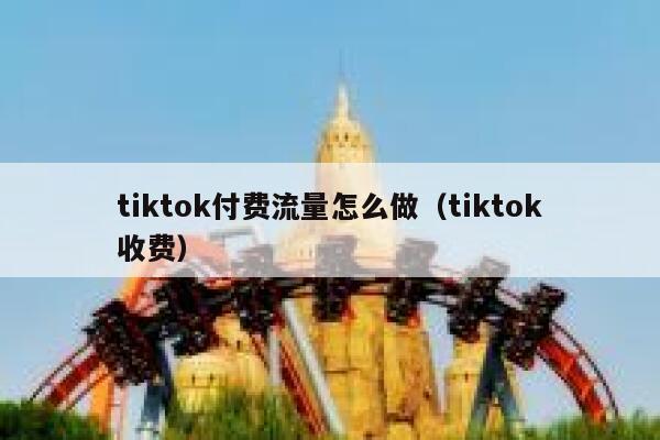 tiktok付费流量怎么做（tiktok收费） 第1张