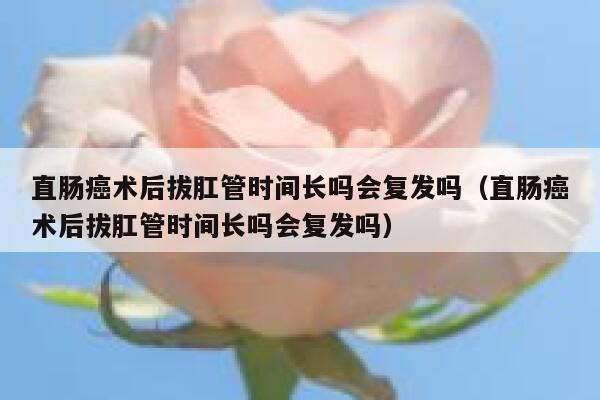 直肠癌术后拔肛管时间长吗会复发吗(直肠癌术后拔肛管时间长吗会复发吗) 第1张 直肠癌术后拔肛管时间长吗会复发吗(直肠癌术后拔肛管时间长吗会复发吗) 第1张