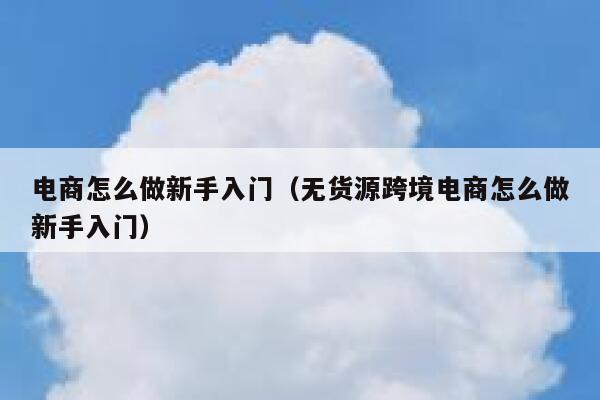 电商怎么做新手入门（无货源跨境电商怎么做新手入门） 第1张