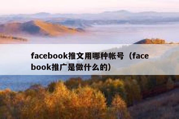 facebook推文用哪种帐号（facebook推广是做什么的） 第1张