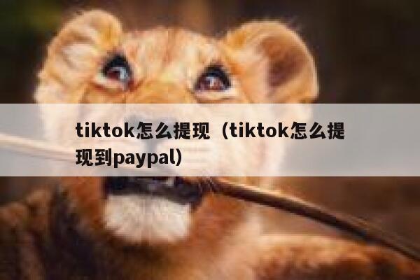 tiktok怎么提现（tiktok怎么提现到paypal） 第1张