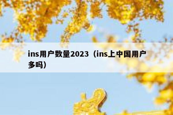 ins用户数量2023（ins上中国用户多吗） 第1张