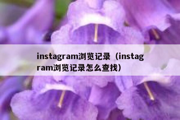 instagram浏览记录（instagram浏览记录怎么查找） 第1张