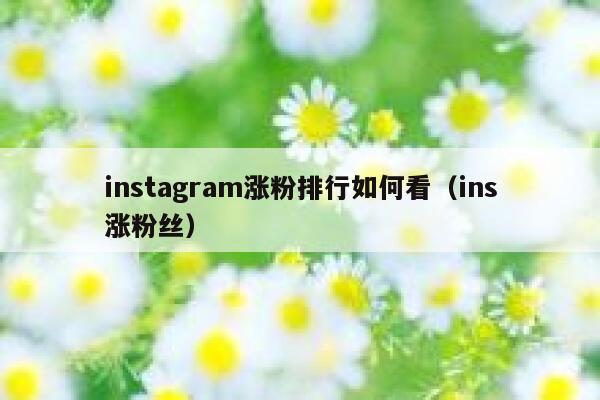 instagram涨粉排行如何看（ins涨粉丝） 第1张