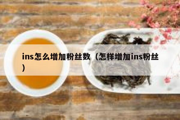 ins怎么增加粉丝数（怎样增加ins粉丝） 第1张