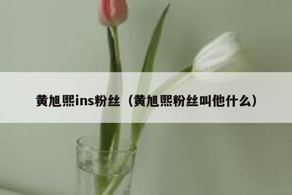 黄旭熙ins粉丝（黄旭熙粉丝叫他什么） 第1张