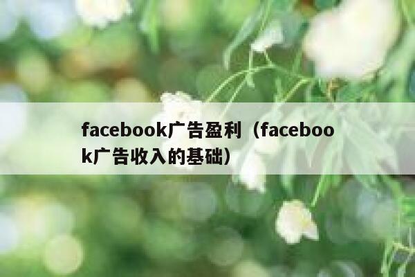 facebook广告盈利（facebook广告收入的基础） 第1张