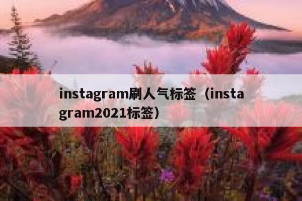 instagram刷人气标签（instagram2021标签） 第1张
