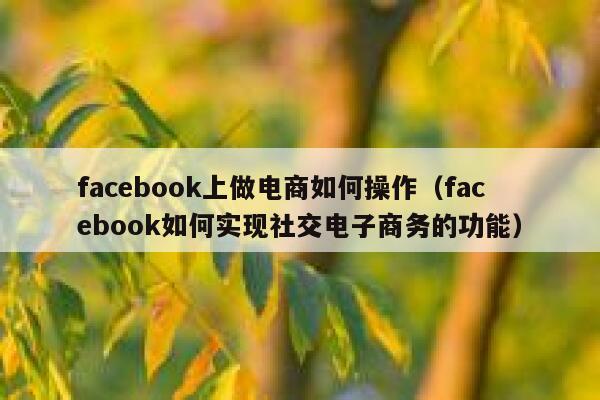 facebook上做电商如何操作（facebook如何实现社交电子商务的功能） 第1张