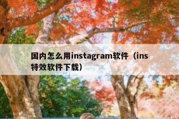 国内怎么用instagram软件（ins特效软件下载） 第1张