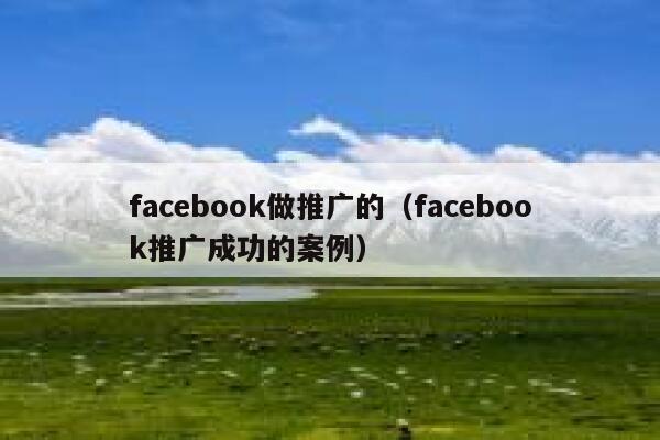 facebook做推广的(facebook推广成功的案例) 第1张 facebook做推广的(facebook推广成功的案例) 第1张