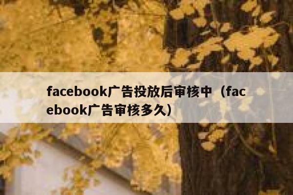 facebook广告投放后审核中（facebook广告审核多久） 第1张