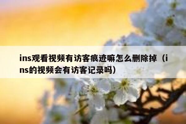 ins观看视频有访客痕迹嘛怎么删除掉（ins的视频会有访客记录吗） 第1张