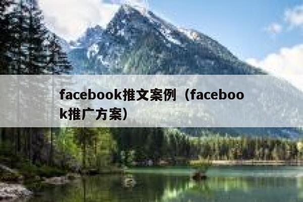 facebook推文案例(facebook推广方案) 第1张 facebook推文案例(facebook推广方案) 第1张