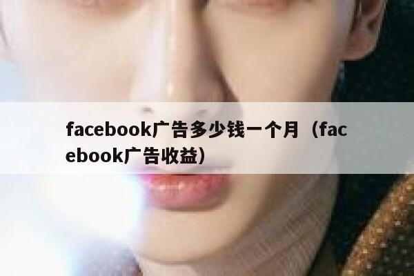 facebook广告多少钱一个月（facebook广告收益） 第1张
