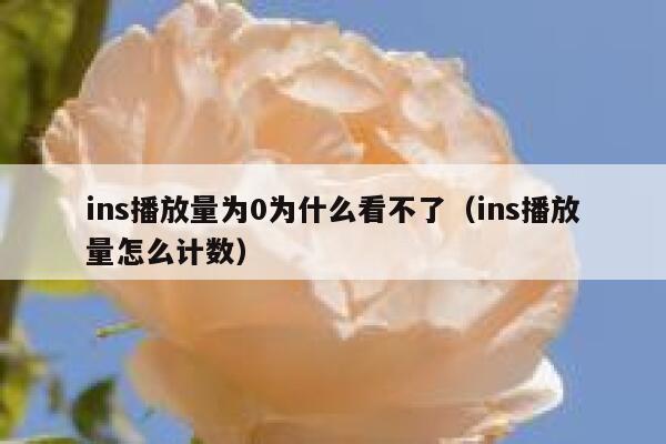 ins播放量为0为什么看不了（ins播放量怎么计数） 第1张