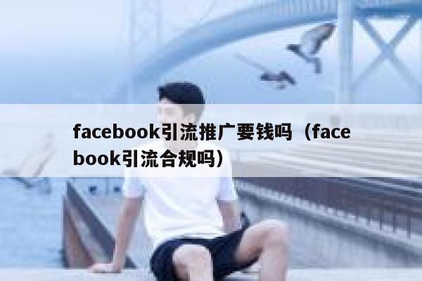 facebook引流推广要钱吗（facebook引流合规吗） 第1张