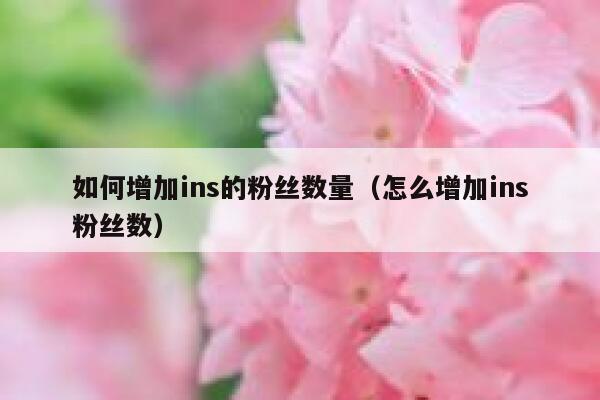 如何增加ins的粉丝数量(怎么增加ins粉丝数) 第1张 如何增加ins的粉丝数量(怎么增加ins粉丝数) 第1张