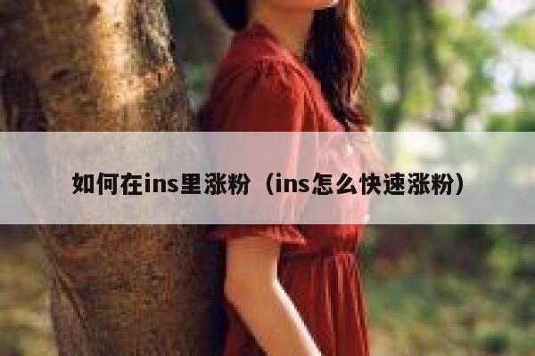 如何在ins里涨粉（ins怎么快速涨粉） 第1张