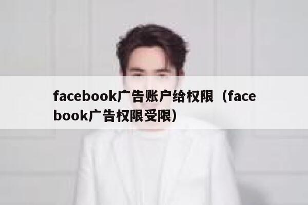 facebook广告账户给权限（facebook广告权限受限） 第1张
