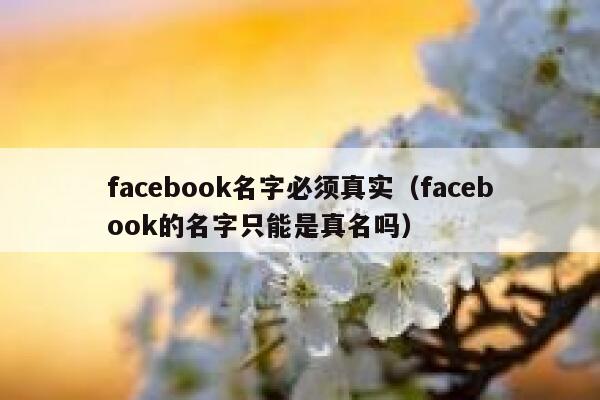 facebook名字必须真实（facebook的名字只能是真名吗） 第1张