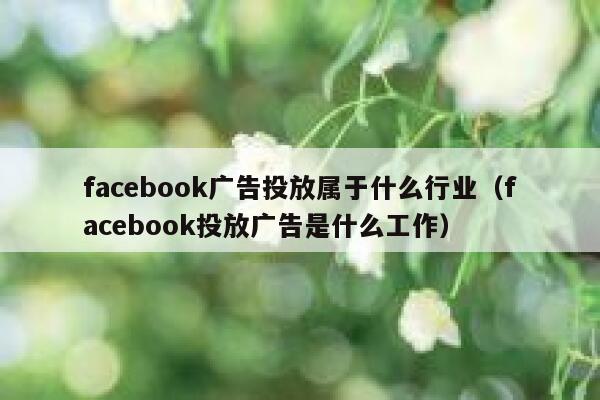 facebook广告投放属于什么行业（facebook投放广告是什么工作） 第1张