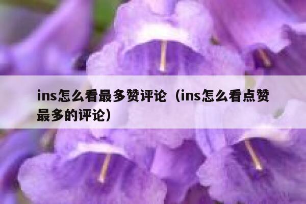 ins怎么看最多赞评论（ins怎么看点赞最多的评论） 第1张