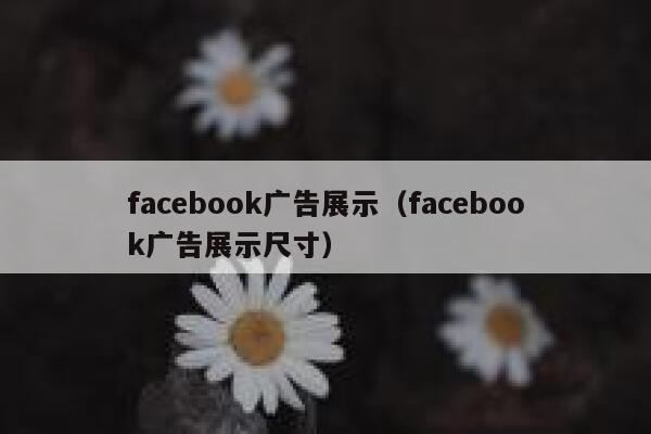 facebook广告展示（facebook广告展示尺寸） 第1张
