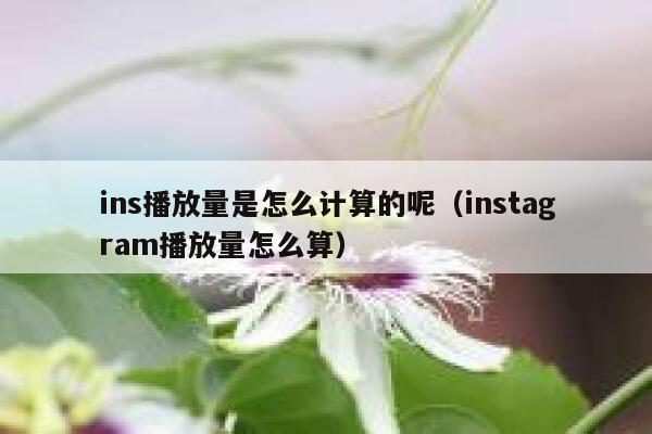 ins播放量是怎么计算的呢（instagram播放量怎么算） 第1张