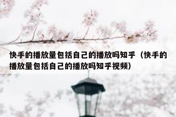 快手的播放量包括自己的播放吗知乎(快手的播放量包括自己的播放吗知乎视频) 第1张 快手的播放量包括自己的播放吗知乎(快手的播放量包括自己的播放吗知乎视频) 第1张