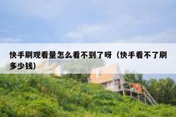 快手刷观看量怎么看不到了呀(快手看不了刷多少钱) 第1张 快手刷观看量怎么看不到了呀(快手看不了刷多少钱) 第1张