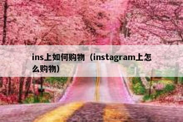 ins上如何购物(instagram上怎么购物) 第1张 ins上如何购物(instagram上怎么购物) 第1张