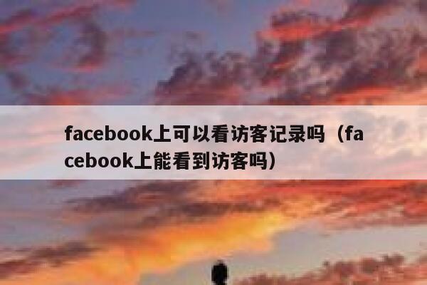 facebook上可以看访客记录吗（facebook上能看到访客吗） 第1张