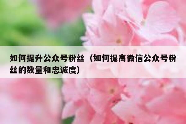 如何提升公众号粉丝（如何提高微信公众号粉丝的数量和忠诚度） 第1张