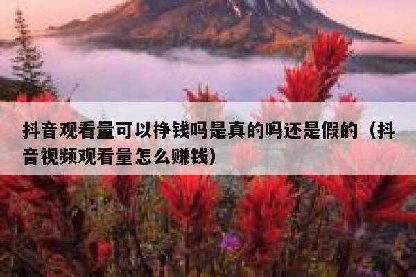 抖音观看量可以挣钱吗是真的吗还是假的(抖音视频观看量怎么赚钱) 第1张 抖音观看量可以挣钱吗是真的吗还是假的(抖音视频观看量怎么赚钱) 第1张