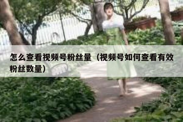 怎么查看视频号粉丝量(视频号如何查看有效粉丝数量) 第1张 怎么查看视频号粉丝量(视频号如何查看有效粉丝数量) 第1张