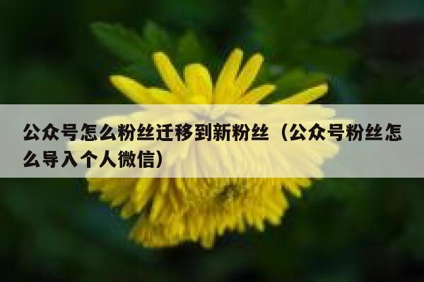 公众号怎么粉丝迁移到新粉丝（公众号粉丝怎么导入个人微信） 第1张