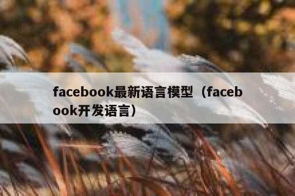 facebook最新语言模型（facebook开发语言） 第1张