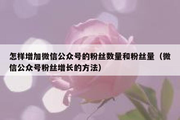 怎样增加微信公众号的粉丝数量和粉丝量(微信公众号粉丝增长的方法) 第1张 怎样增加微信公众号的粉丝数量和粉丝量(微信公众号粉丝增长的方法) 第1张