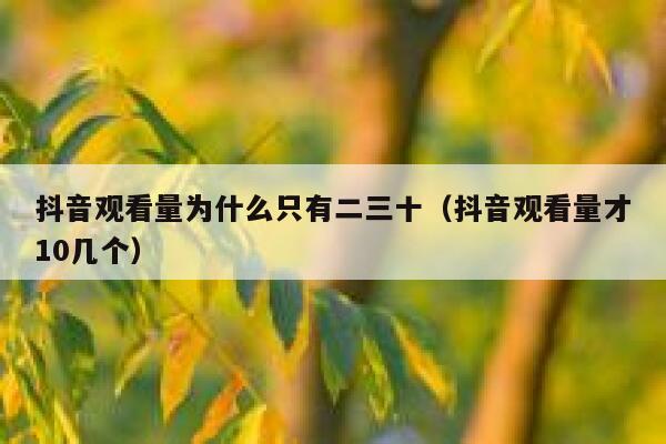 抖音观看量为什么只有二三十(抖音观看量才10几个) 第1张 抖音观看量为什么只有二三十(抖音观看量才10几个) 第1张