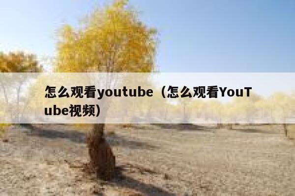 怎么观看youtube（怎么观看YouTube视频） 第1张