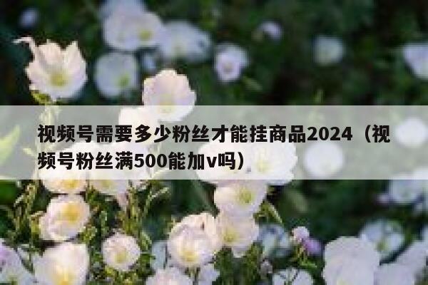 视频号需要多少粉丝才能挂商品2024(视频号粉丝满500能加v吗) 第1张 视频号需要多少粉丝才能挂商品2024(视频号粉丝满500能加v吗) 第1张