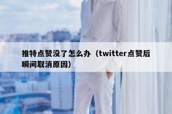 推特点赞没了怎么办(twitter点赞后瞬间取消原因) 第1张 推特点赞没了怎么办(twitter点赞后瞬间取消原因) 第1张